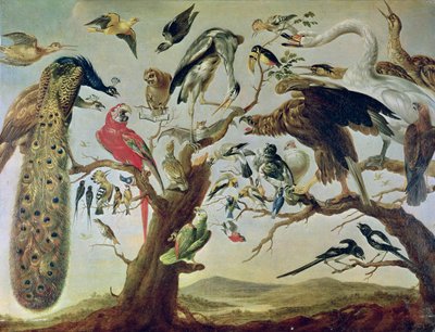 Le concert des oiseaux - Frans Snyders or Snijders